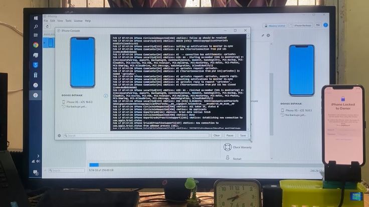 iCloud Unlocking (iPhone Xs)